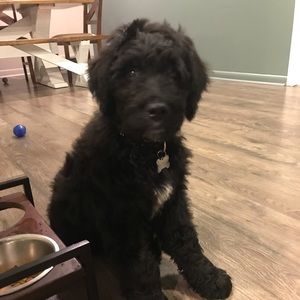 Meet your Posher, Brittany